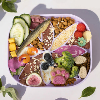 Silicone Dog Bowl-leaf